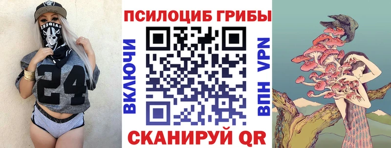 продажа наркотиков Раменское маркетплейс Telegram Псилоцибиновые грибы мицелий